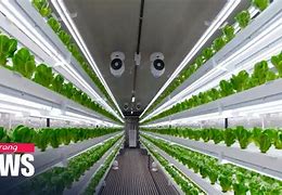 Image result for Indoor Farming Technology
