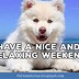 Image result for Have Great Weekend Meme