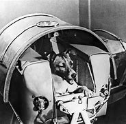 Image result for 1st Dog in Space
