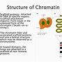 Image result for Chromatin Structure and Function