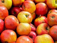 Image result for Apple Fruit