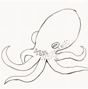 Image result for Octopus Eyes Draw