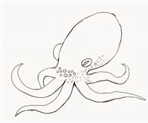 Image result for Octopus Drawing