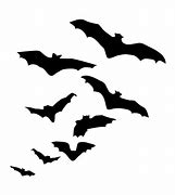 Image result for White Bat Silhouette