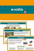 Image result for Worksheet On Wild Animals Matching