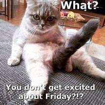 Image result for Friday Work MEME Funny Sarcastic