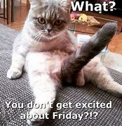 Image result for It's Friday Funny Work Memes