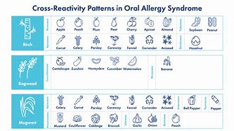 Image result for Allergy Cross-Reaction Chart