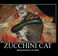 Image result for Zucchini Jokes