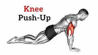 Image result for Knee Push-Up