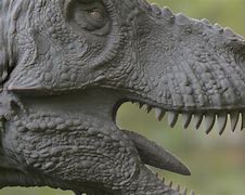 Image result for co_to_za_zhuchengtyrannus_magnus