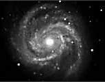 Image result for Brightest Cluster Galaxy