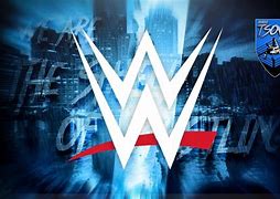 Image result for WWE Wrestling Merchandise