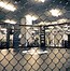 Image result for Boxing Cage