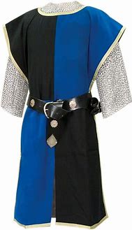 Image result for French Knight Surcoat