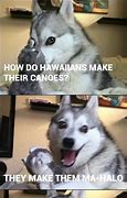 Image result for Mahalo Meme