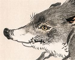 Image result for Japanese Wolf Art