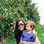 Image result for Apple Picking in New York