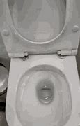 Image result for Two Button Toilet Flush Tank Cover Replacement