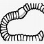 Image result for Worm Clip Art Download