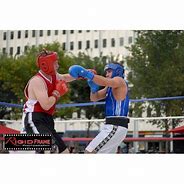 Image result for Tree Estate Boxing Club
