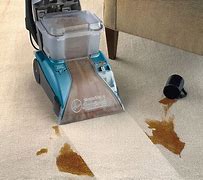 Image result for Best Affordable Carpet Shampooer