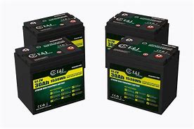 Image result for Lithium Ion Golf Cart Batteries