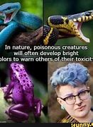 Image result for In Nature Poisonous Creatures Meme