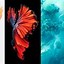 Image result for iOS 9 Wallpaper iPhone 6s Plus