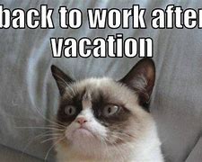 Image result for Back to Work Vacation Meme