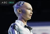 Image result for Robot CFO Woman