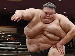 Image result for Most Famous Sumo Wrestler