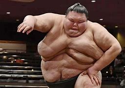 Image result for White Sumo Wrestler