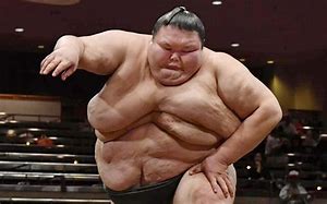 Image result for Heaviest Sumo