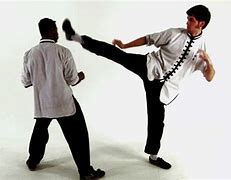 Image result for Shaolin Kung Fu Techniques