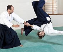 Image result for aikido technique