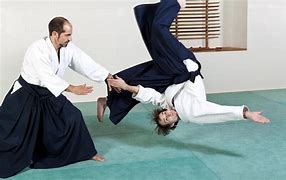 Image result for Aikido Fighting Style