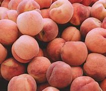 Image result for Peach Fruit Background