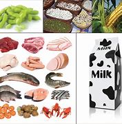 Image result for High Protein Foods