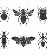 Image result for Monogram Logo of Insect
