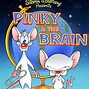 Image result for Animaniacs Pinky and the Brain Miss