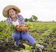 Image result for Diario Do Agricultor
