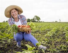Image result for agricultof