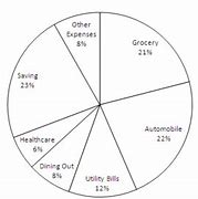 Image result for Age Distribution Pie-Chart