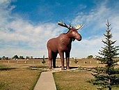 Image result for WHL Moose Jaw Warriors
