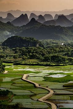 Rice fields, Putao, China | Chinese landscape, Scenery, Beautiful places to visit