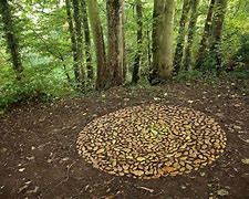 Image result for Natural Objects