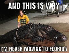 Image result for Handicap for Gators Meme