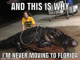 Image result for Florida Gator Memes
