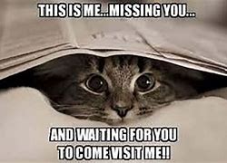 Image result for Miss My Best Friend Meme